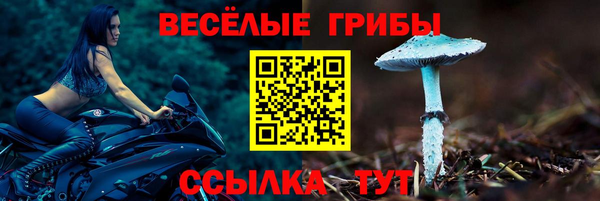 Галлюциногенные грибы мухоморы  Вход с VPN  Тулун 